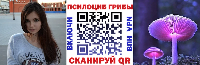 купить   Володарск  Галлюциногенные грибы GOLDEN TEACHER 